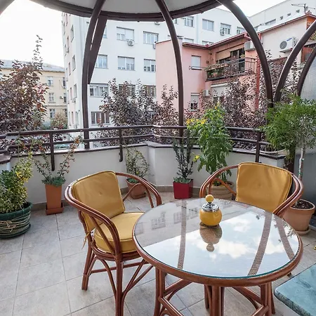 Cozy With A Terrace Near Slavija Square Sajmiste